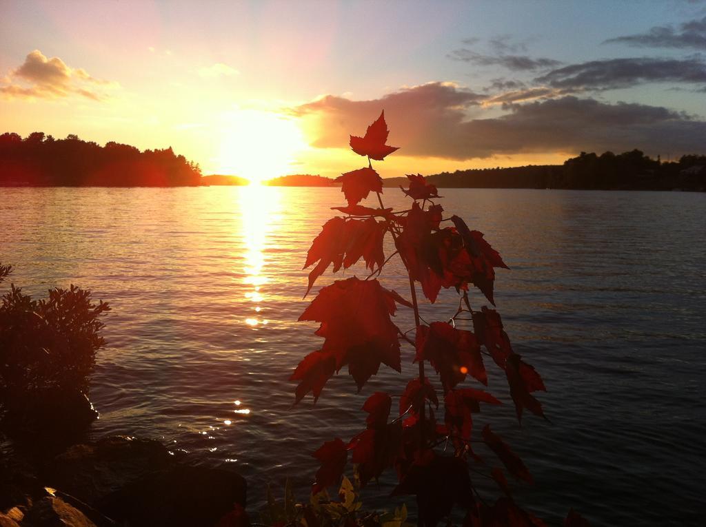 Lake Lauzon Resort Blind River Rom bilde